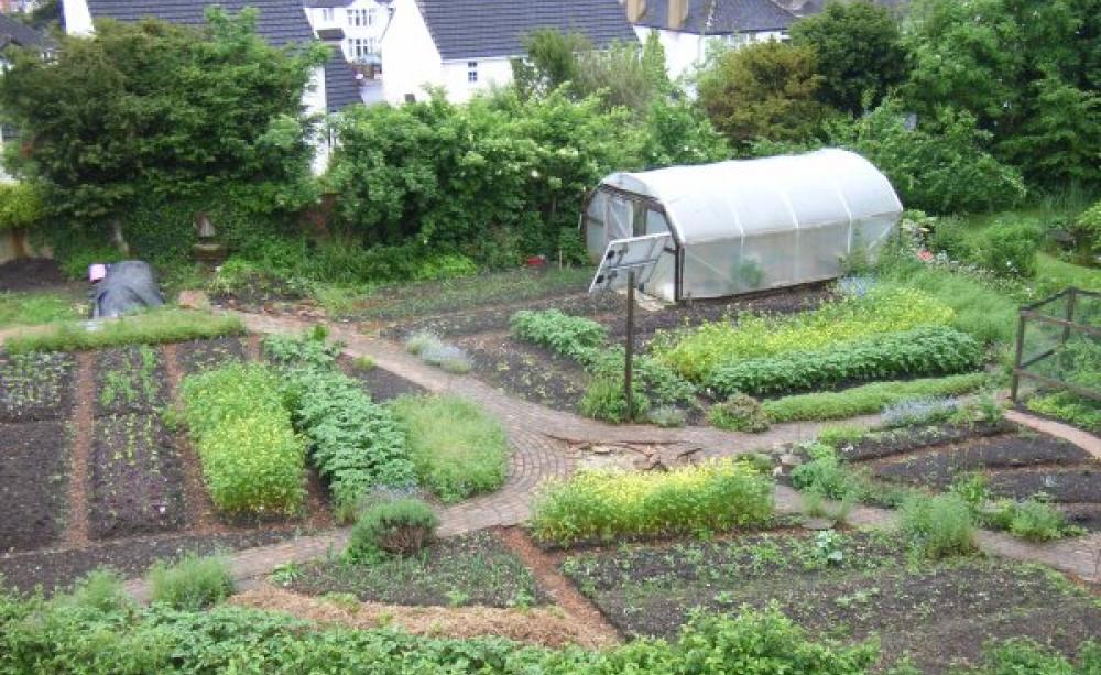 The GREEN research garden in Stroud, Gloucestershire, which generated eight years of research data. Photo: Matt Adams.