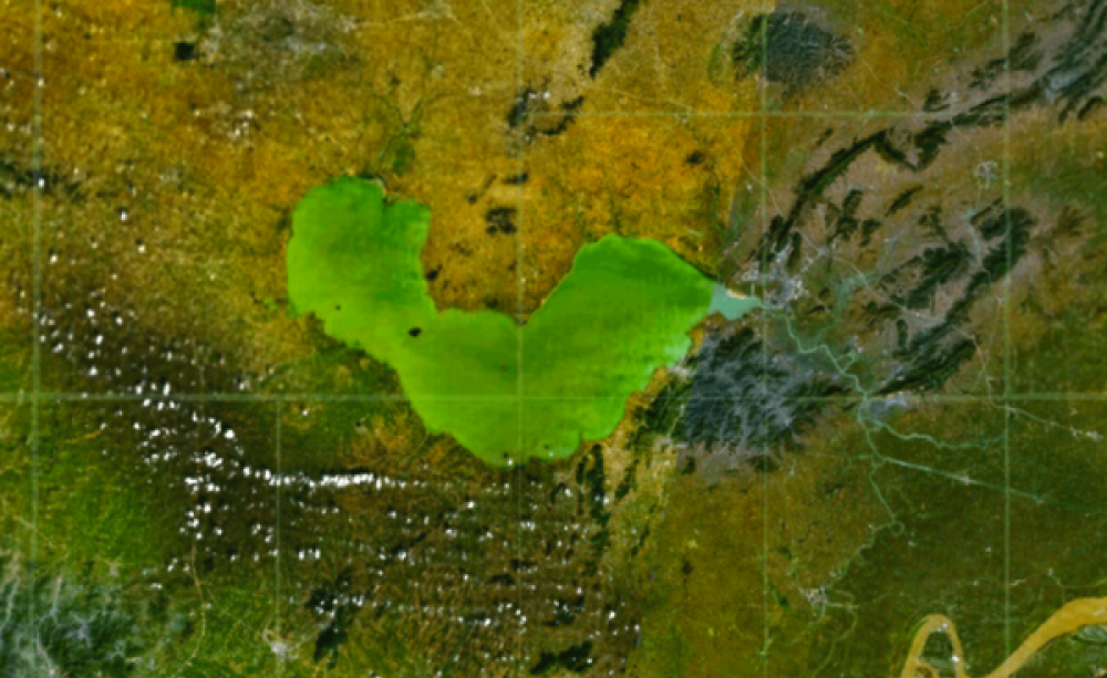 The pollution of Chao Lake is obvious - even from space. Photo: NASA via Wikimedia Commons.