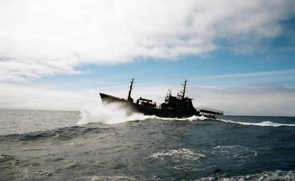 The Sea Shepherd vessel the Bob Barker braving the waves of the Southern Ocean in pursuit of the Japanese whaling ship the Nisshin Maru in 2010. The same boat is now chasing illegal fishing vessels in the same waters. Photo: wietse? via Flickr (CC BY-NS-S