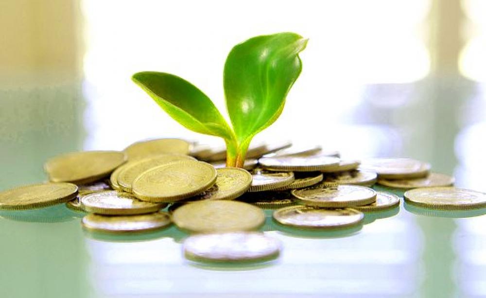 Do trees grow on money? Photo: Tax Credits via Flickr (CC BY).