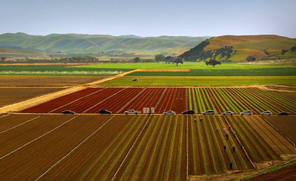As California's drought bites, its $500 fines for 'water waster' households, but the water's still flowing for the state's powerful agribusiness sector. Photo: Malcolm Carlaw via Flickr (CC BY).