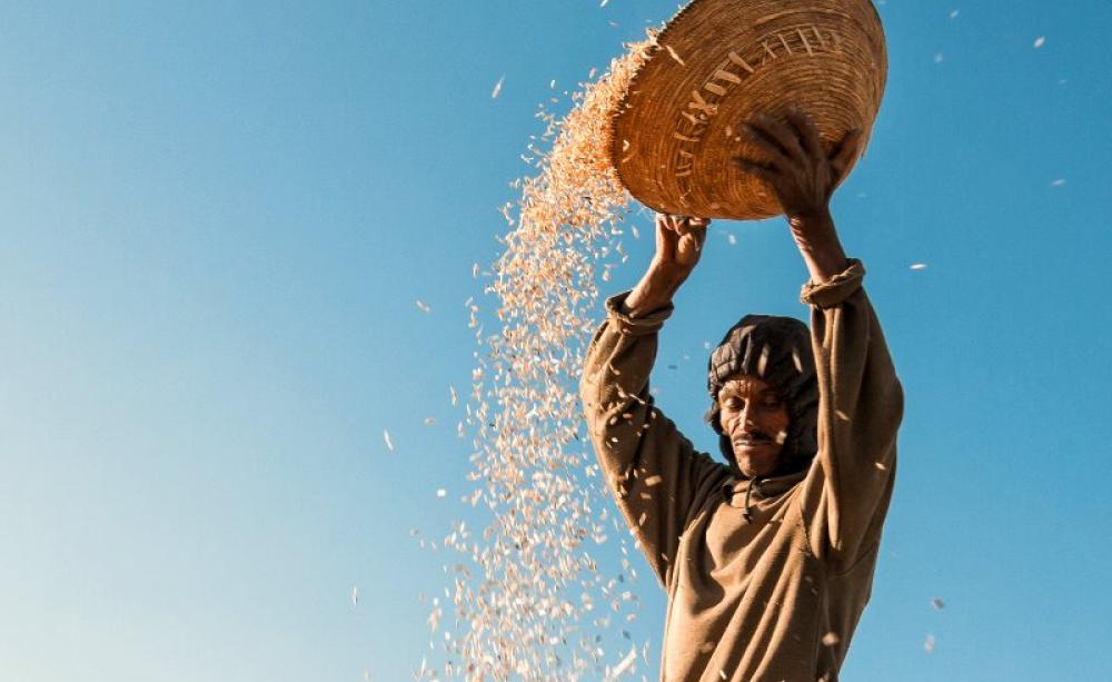 A farmer sows his seed in Asmara, Maekel, Eritrea. Photo: Andrea Moroni via Flickr (CC BY-NC-ND).