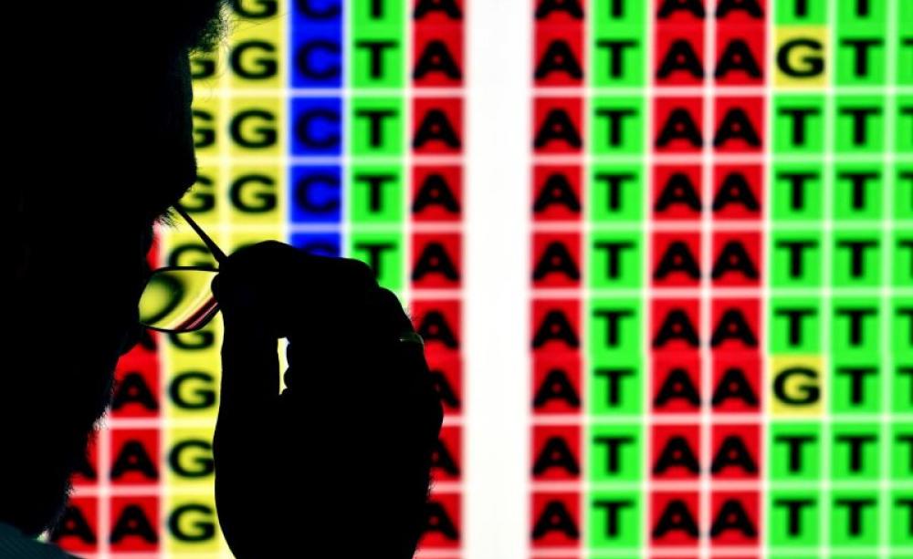 Decoding the cassava genome. Photo: Neil Palmer / CIAT via Flickr (CC BY-NC-SA).