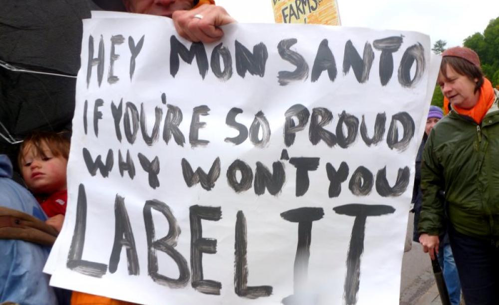 'Hey Monsanto! If you're so proud why won't you label it?' Vermonters at the march Against Monsanto, 25th May 2013. Photo: Cedar Circle Farm &amp; Education Center via Flickr (CC BY-NC-SA).