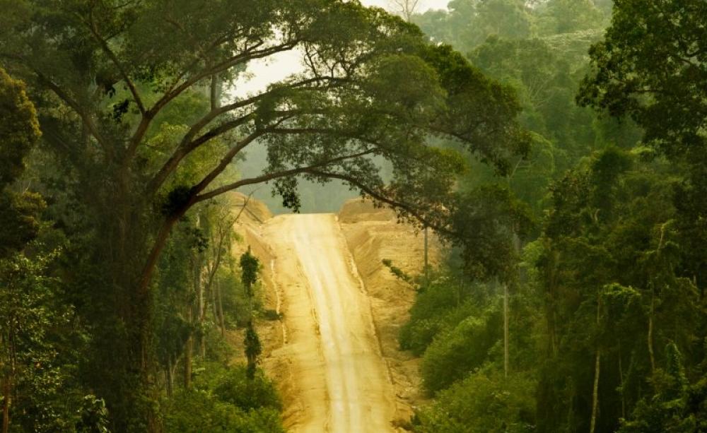 A legally questionable logging corridor built by Asia Pulp and Paper inside the traditional home of the Orang Rimba, one of Indonesia's last nomadic cultures. Jambi Province, Sumatra, Indonesia. Photo: Rainforest Action Network via Flickr (CC BY-NC).