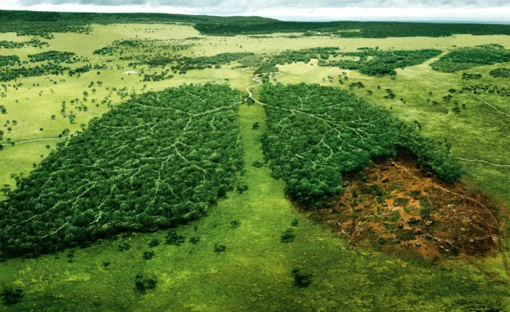 Going, going ... Photo: ad for WWF by TBWA\PARIS, France via brett jordan on Flickr (CC BY).