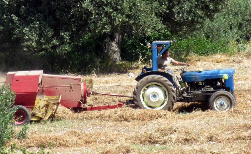 Make hay while the sun shines! This farmer in Cyprus can remain GMO-free - for now. Photo: Tony Woods via Flickr (CC BY-ND).