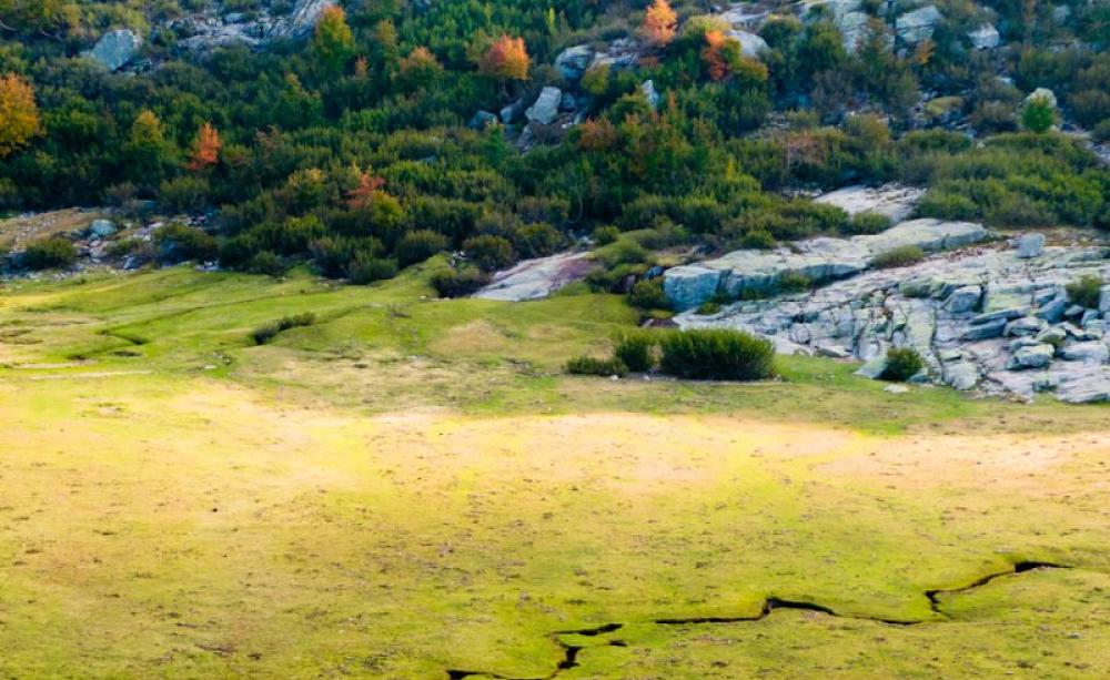 Permanent pastures and wetlands are a huge and growing carbon store - like this floodplain meadow of 'pozzine' grassland near Ninu lake, south Corsica, France. Photo: Quentin Scouflaire via Flickr (CC BY).