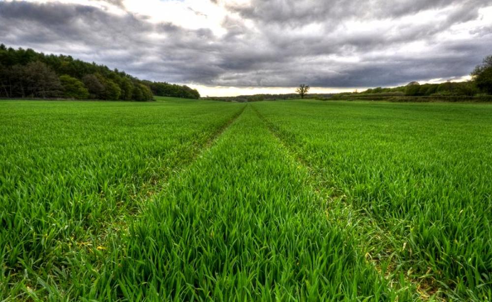 First know the land. Countryside near Welwyn, England. Photo: Greg Knapp via Flickr (CC BY)