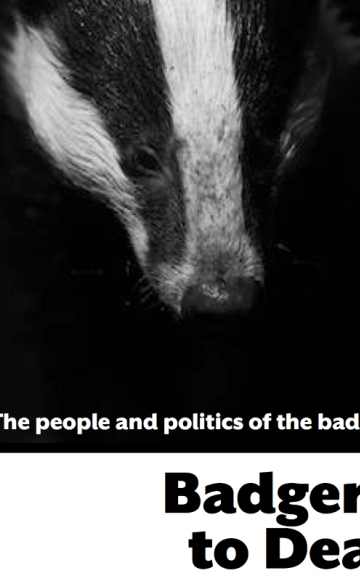 Front cover of 'Badgered to Death' by Dominic Dyer (exerpt), published by Canbury Press.