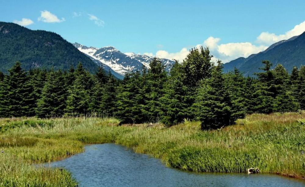 Wilderness in Alaska, USA. Photo: Travis Wise via Flickr (CC BY).