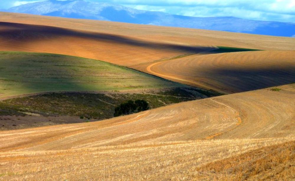 Clouds cast their fast moving shadows across the rolling arable farmlands of South Africa's Western Cape region, where production will become increasingly stretched with warming climate. Photo: Christopher Griner via Flickr (CC BY).