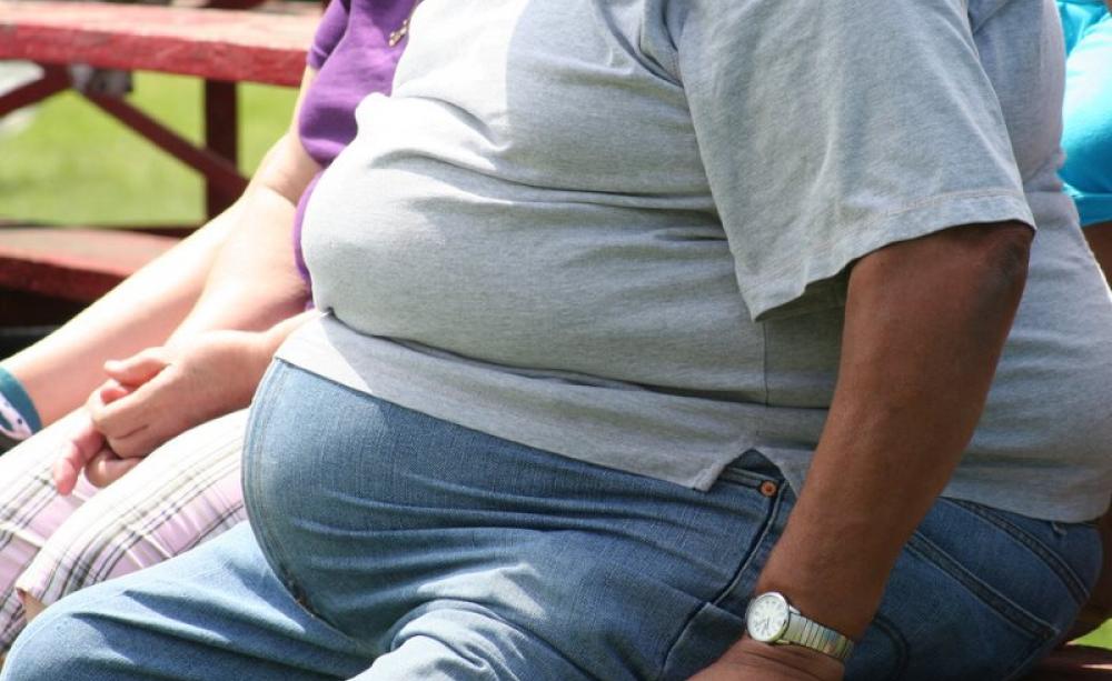 Fatty liver disease, obesity, diabetes and 'metabolic syndrome' may be among the human health consequences of eating glyphosate residues in food, if a new study on rats is anything to go by. Photo: Tony Alter via Flickr (CC BY).