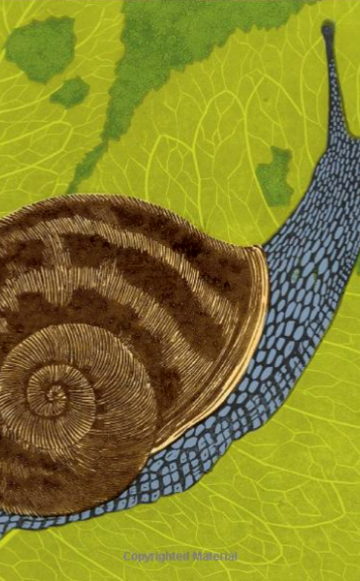 From front cover of 'Slugs and Snails by Robert Cameron, published by Harper Collins.