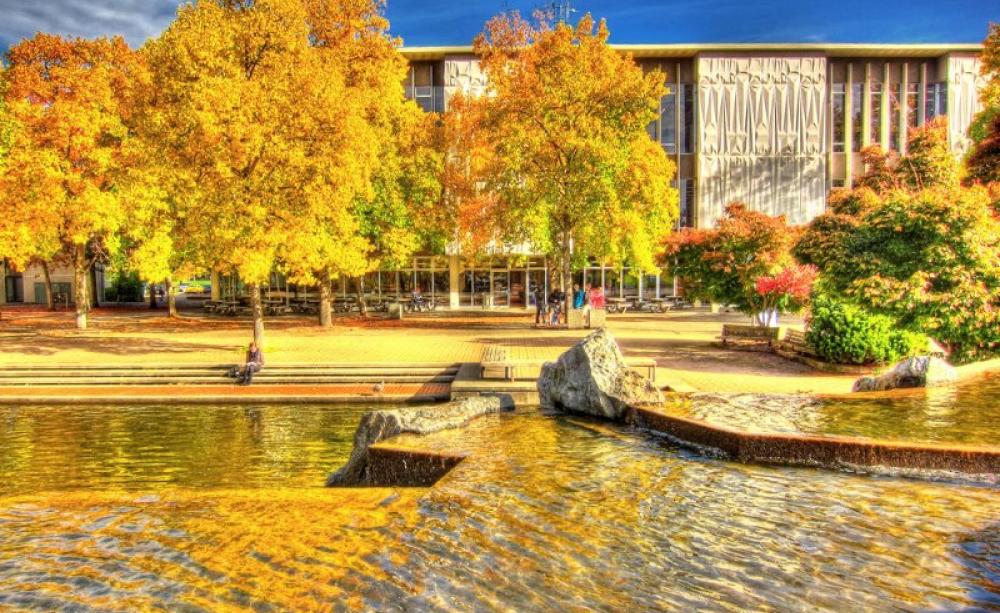Who says nature is not worth valuing in economic measurements? Sadly, most mainstream economists. Photo: Golden Pond on the University of Victoria campus, BC, Canada, by Nick Kenrick via Flickr (CC BY-NC-SA).