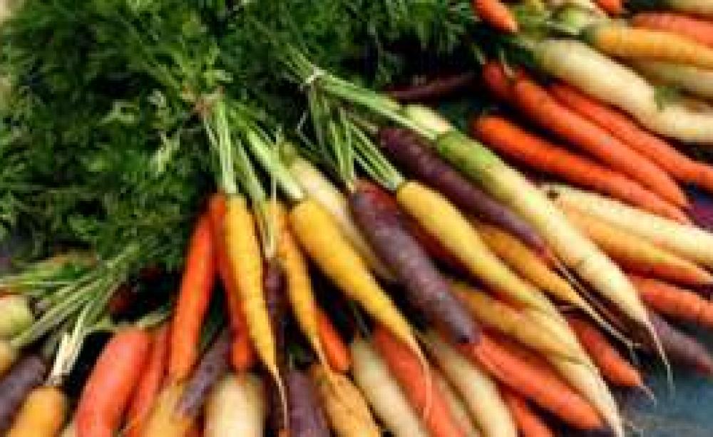 Organic Carrotslg.jpg