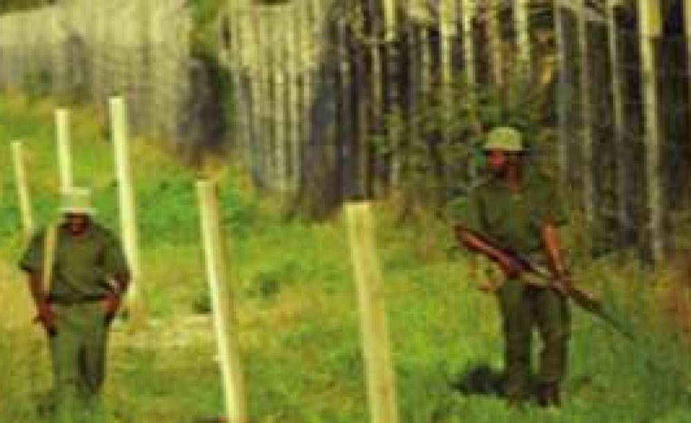 A-green-army_MAIN.jpg