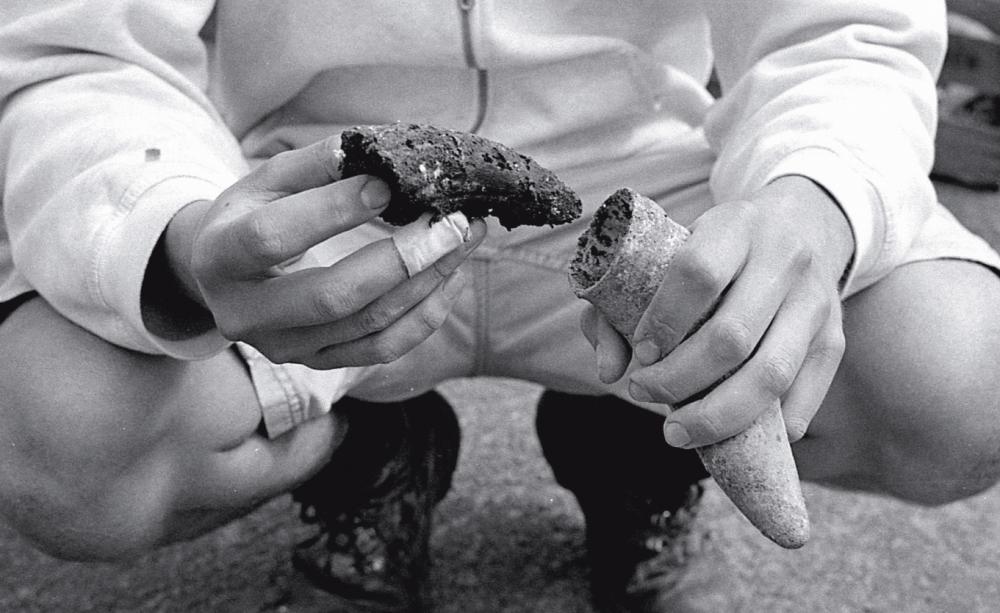 BiodynamicWineMontyWaldin