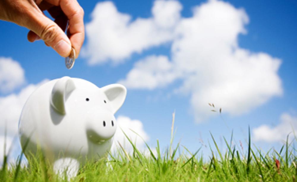 Whether money, people or communities, environmental investment delivers returns for the planet and the piggy bank Making greener savings