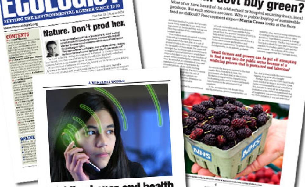 August 2009 newsletter