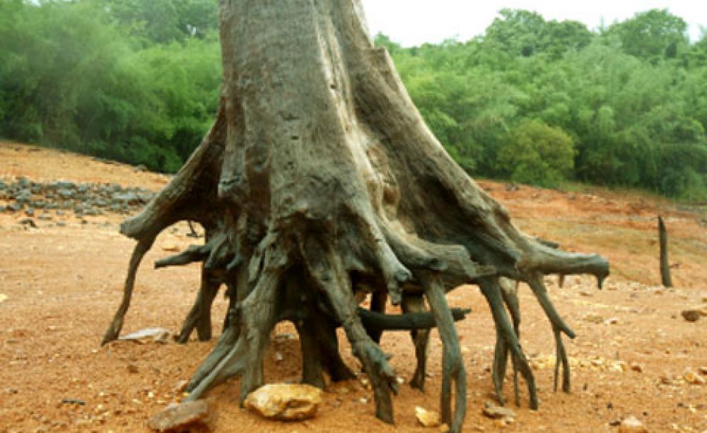 Soil erosion is being blamed on poor farming practices