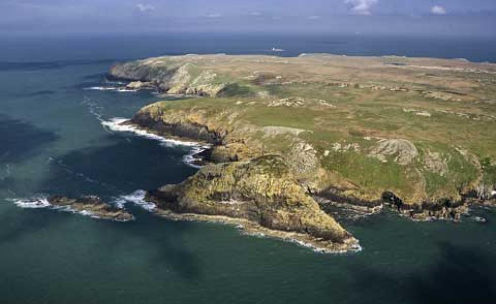 Skomer Island