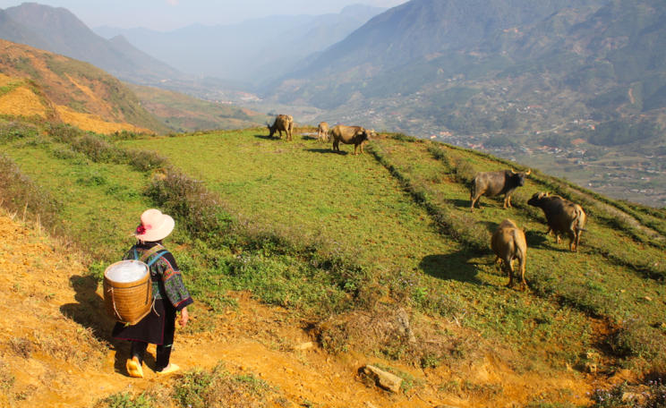 Hmong tribe member admires Sapa's hills