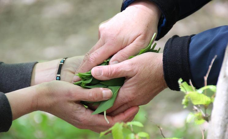 Hands sharing plants
