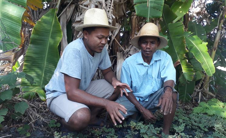 The Taniala Regenerative Camp in Madagascar aims to support forest regeneration by promoting sustainable agriculture techniques
