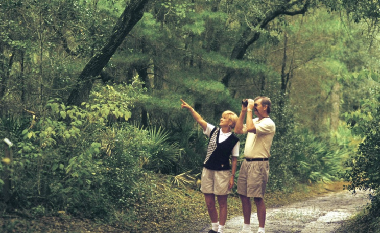 Source: US National Archives.  Description: Two people birdwatching in a lush forest