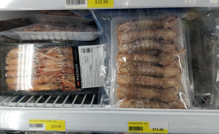 Scampi for sale