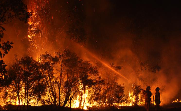 Firefighters sillouetted against a forest on fire