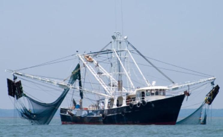 Commercial fishing