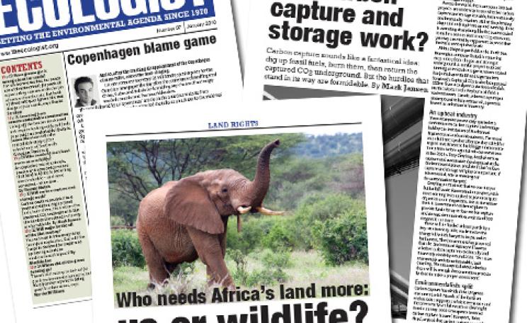 January 2010 newsletter