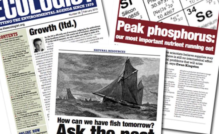 February 2010 newsletter