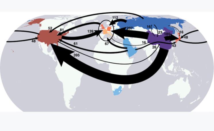 Global export of CO2