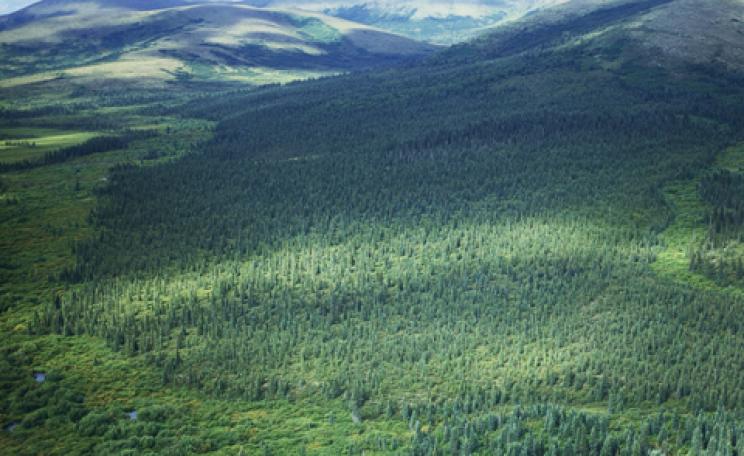 Bristol Bay Watershed