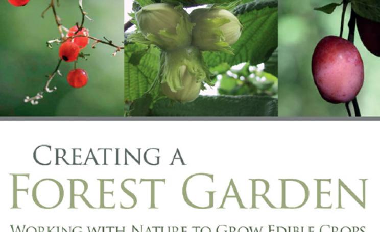 Creating a Forest Garden