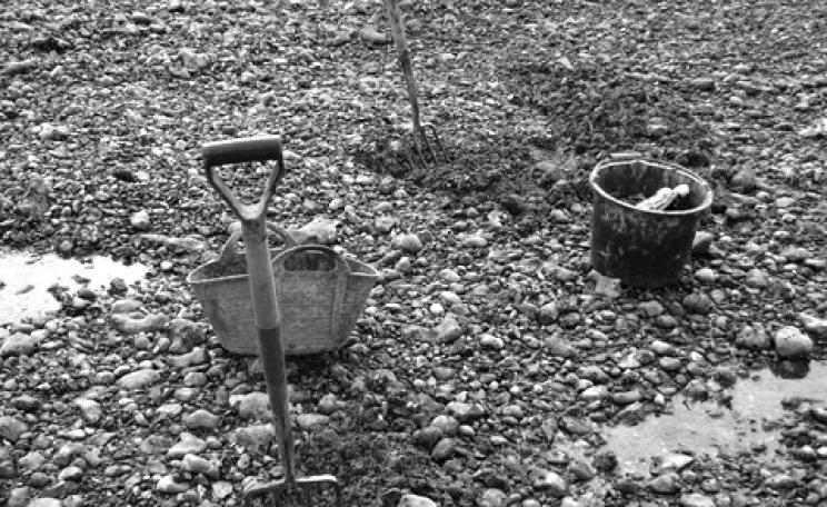 Shellfish harvesting equipment