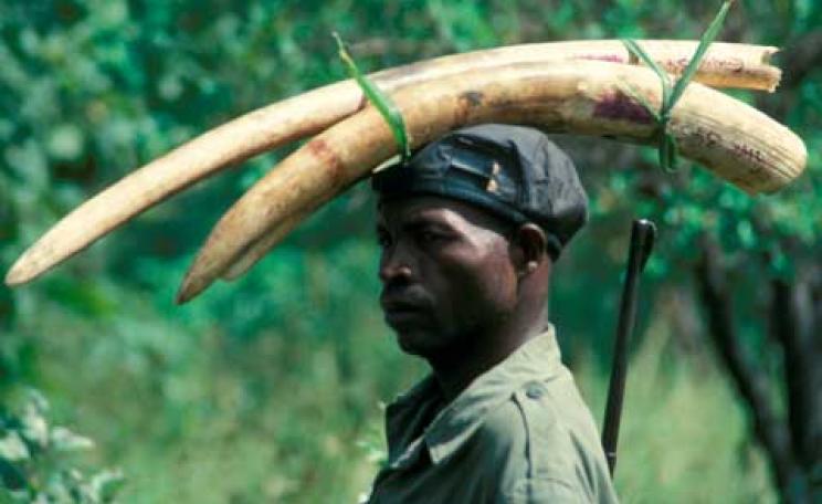 Environmental Investigation Agency