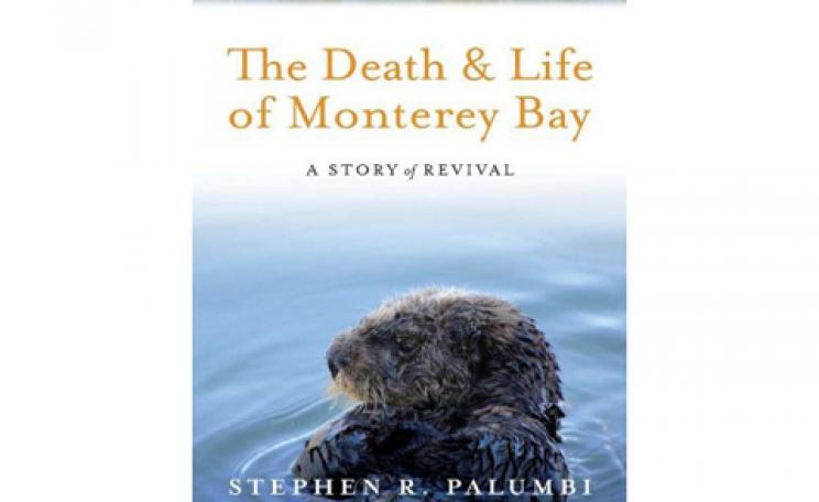 the death and life of monterey bay