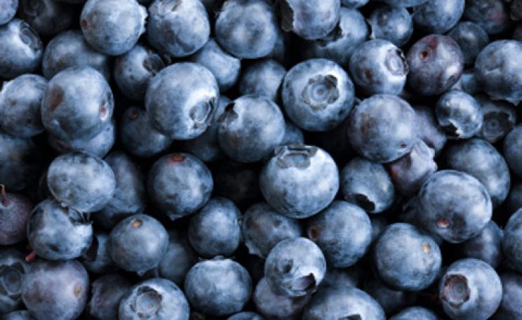 Blueberries