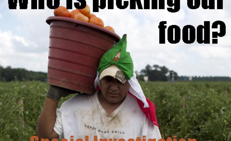 Horticulutre Special Report