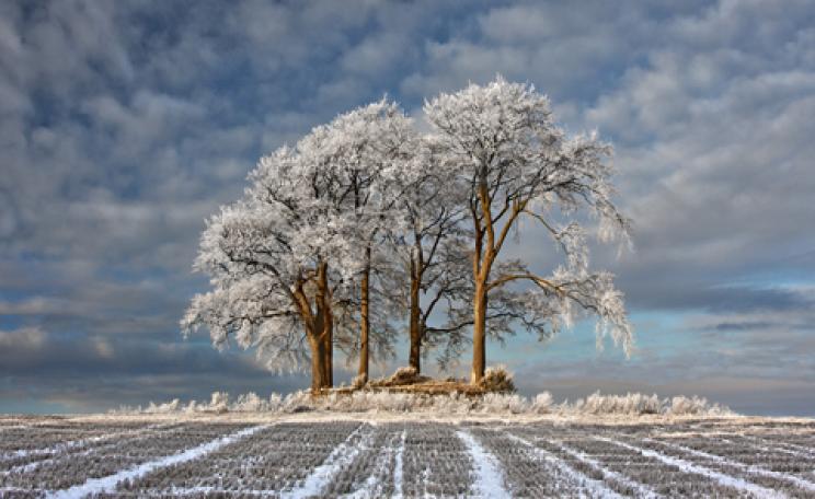 Landscape Photographer of the Year, 2011