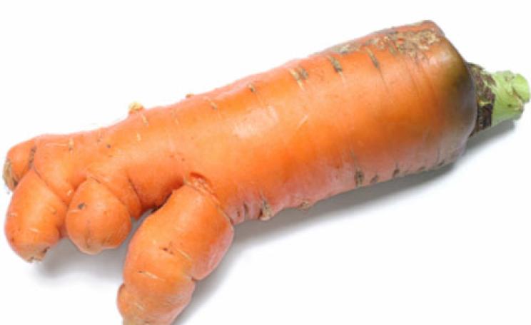 A carrot
