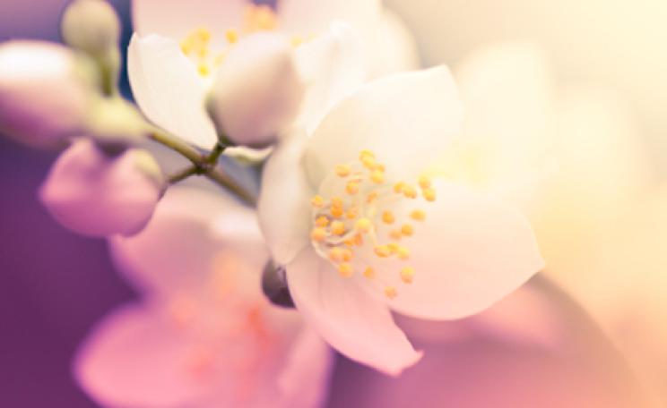 The A to Z of beauty goodies