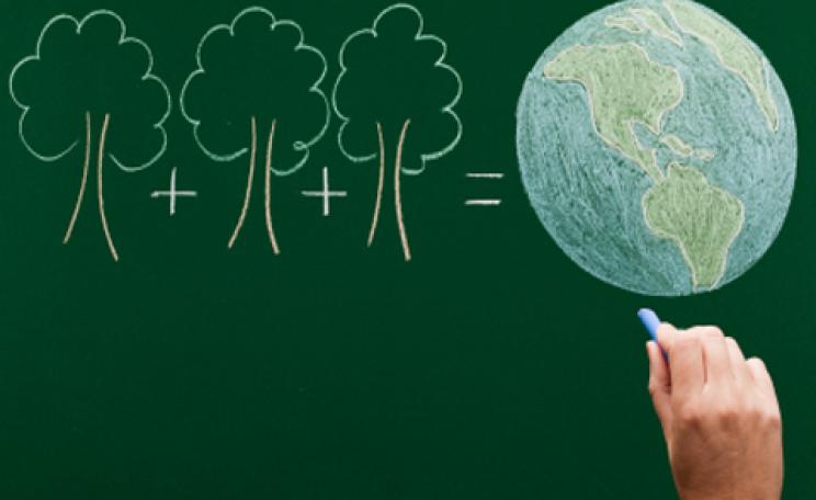 The Ecologist guide to skills, courses and employment