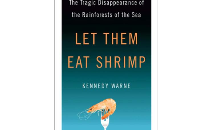 Let Them Eat Shrimp: The Tragic Disappearance of the Rainforests of the Sea