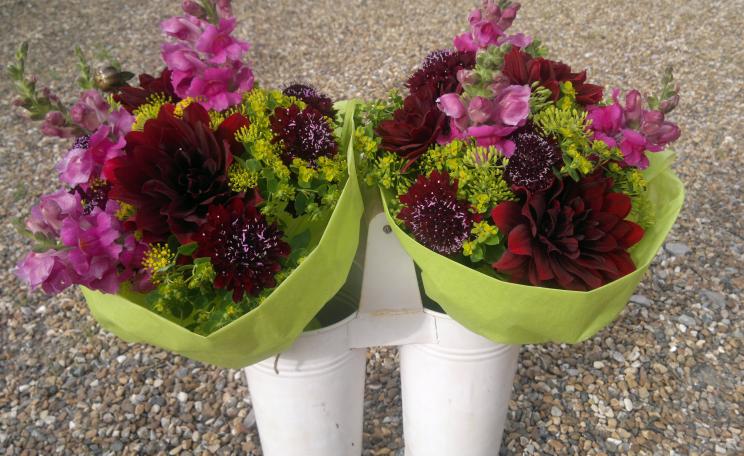 Homegrown flowers don't have the shocking carbon footprint of imports