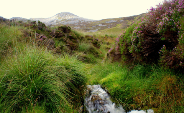 The view upwards toward Beinn an Oir, the highest Pap of Jura.